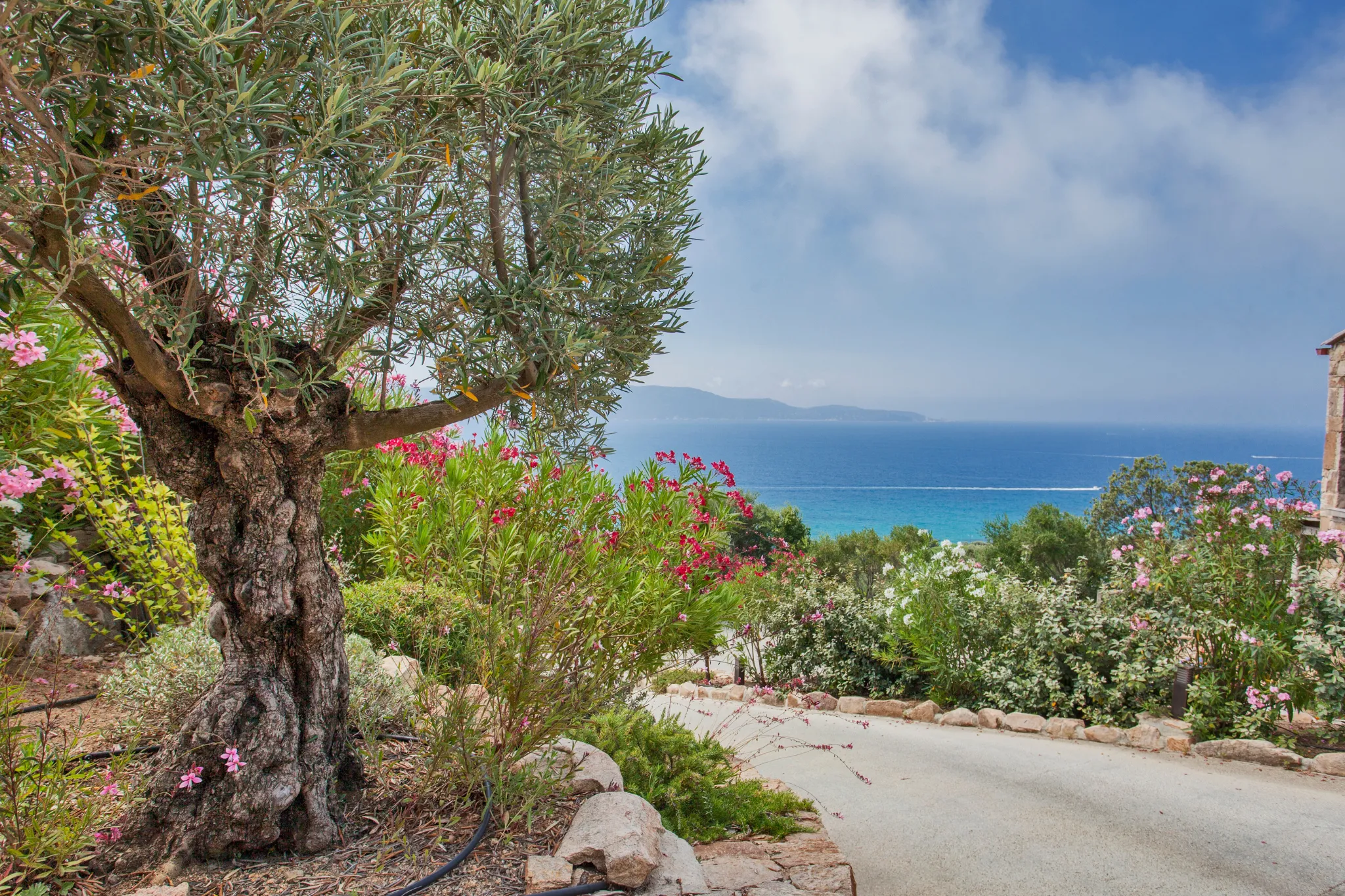 5* Coaching - Personal Growth Experience in Corsica with Valérie Orsoni & Zuliya Khawaja