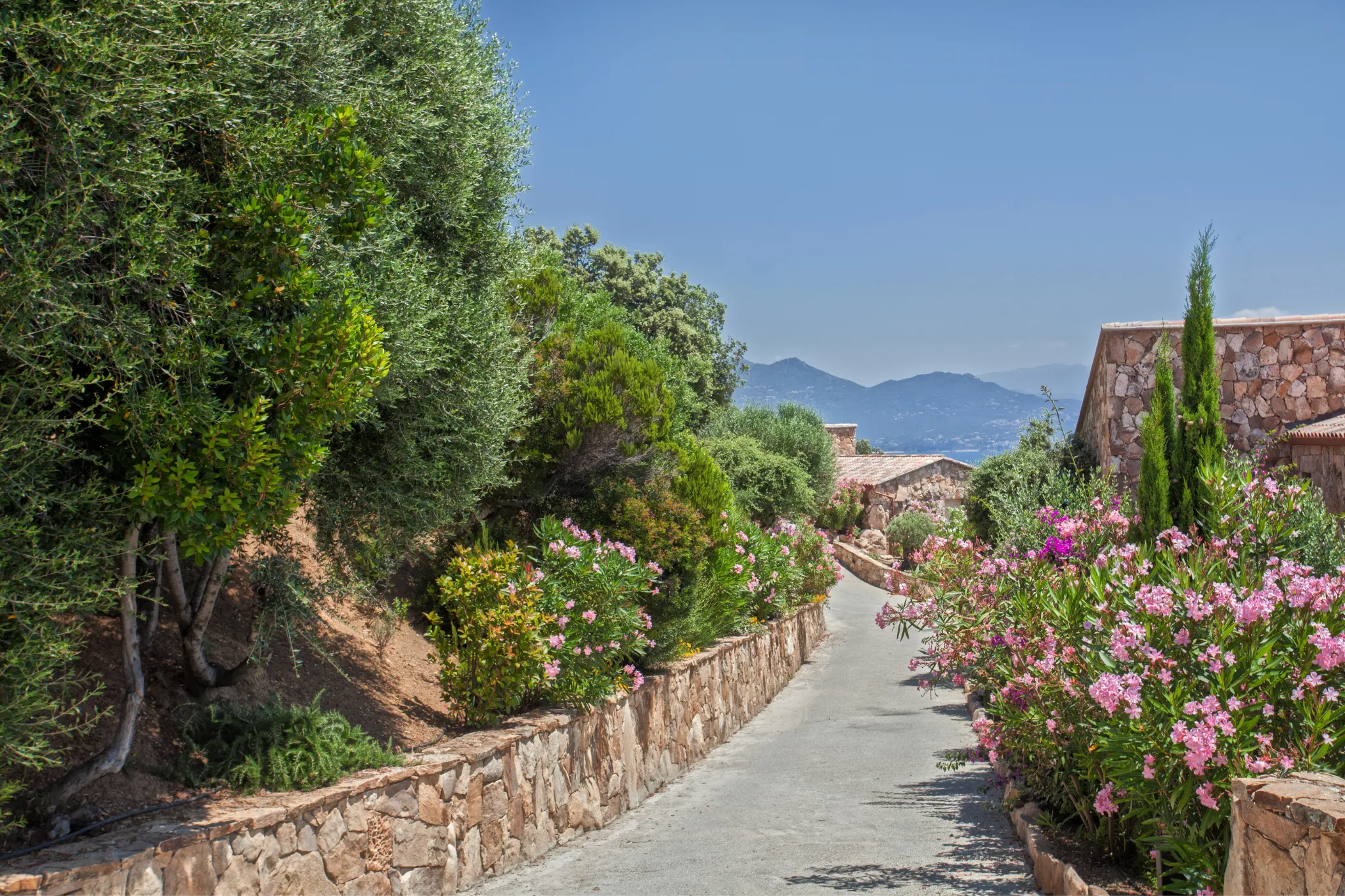 5* Coaching - Personal Growth Experience in Corsica with Valérie Orsoni & Zuliya Khawaja