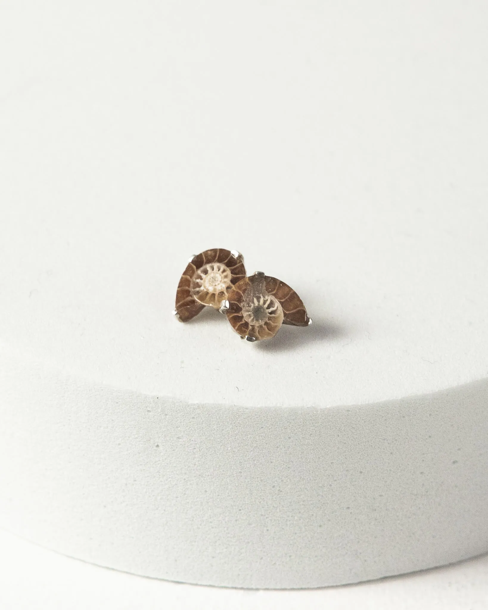 Ammonite Stud Earrings 925 Sterling Silver