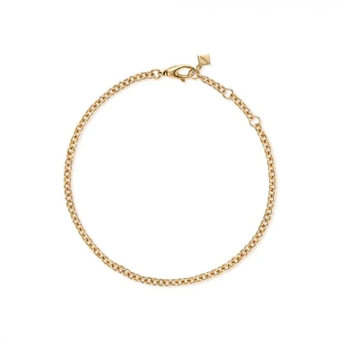 Birks 18K Yellow Gold Rolo60 Bracelet