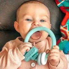 Itzy Ritzy Rattle With Teething Rings