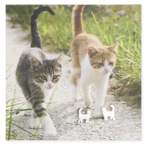 Picture Cats Post Earings