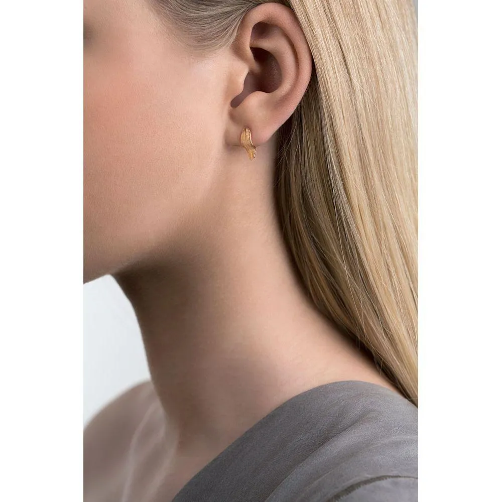 RAVEN earrings