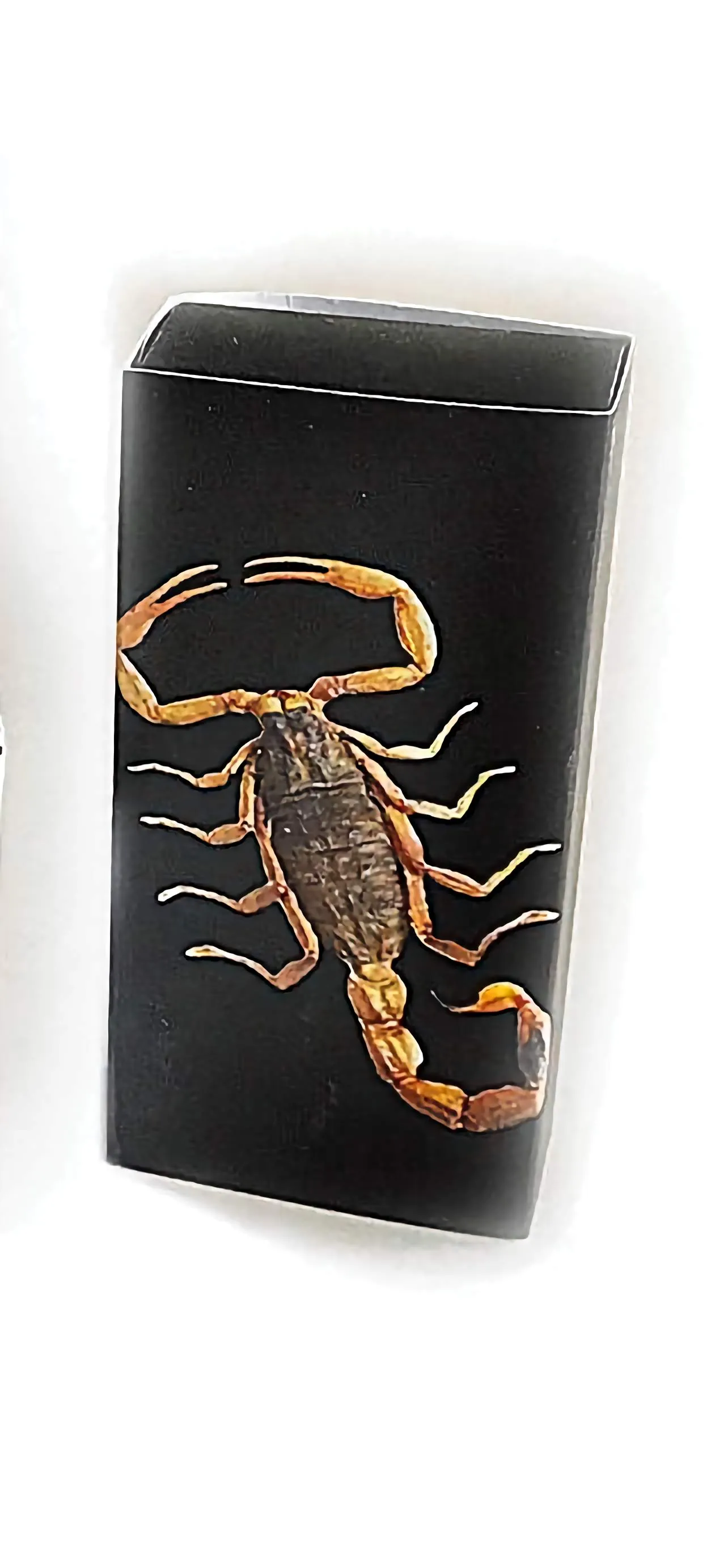 Real Bark Scorpion Bracelet Rectangle Shaped Black Real Nature Gift
