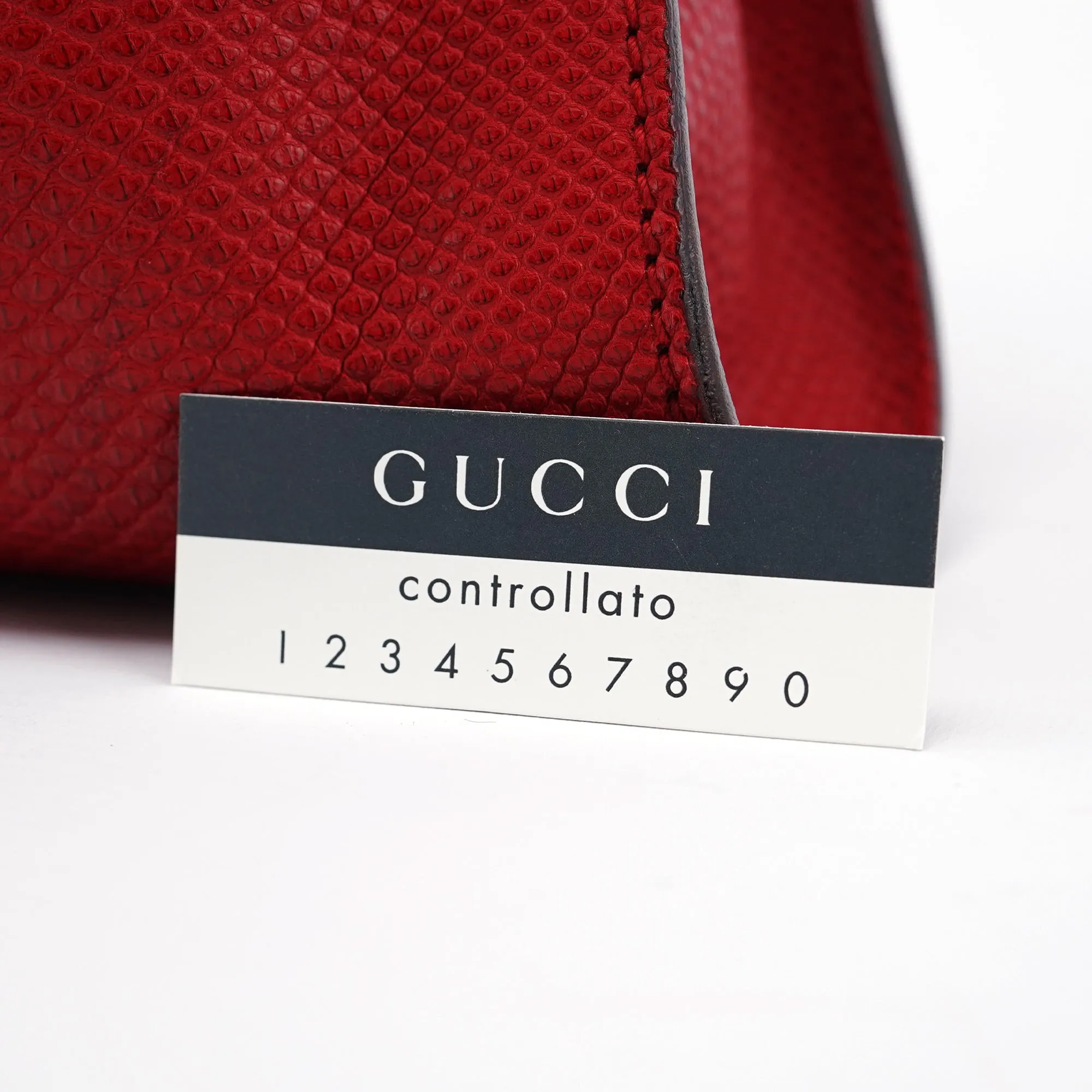 Red Lizard Embossed Dual Handle Bag