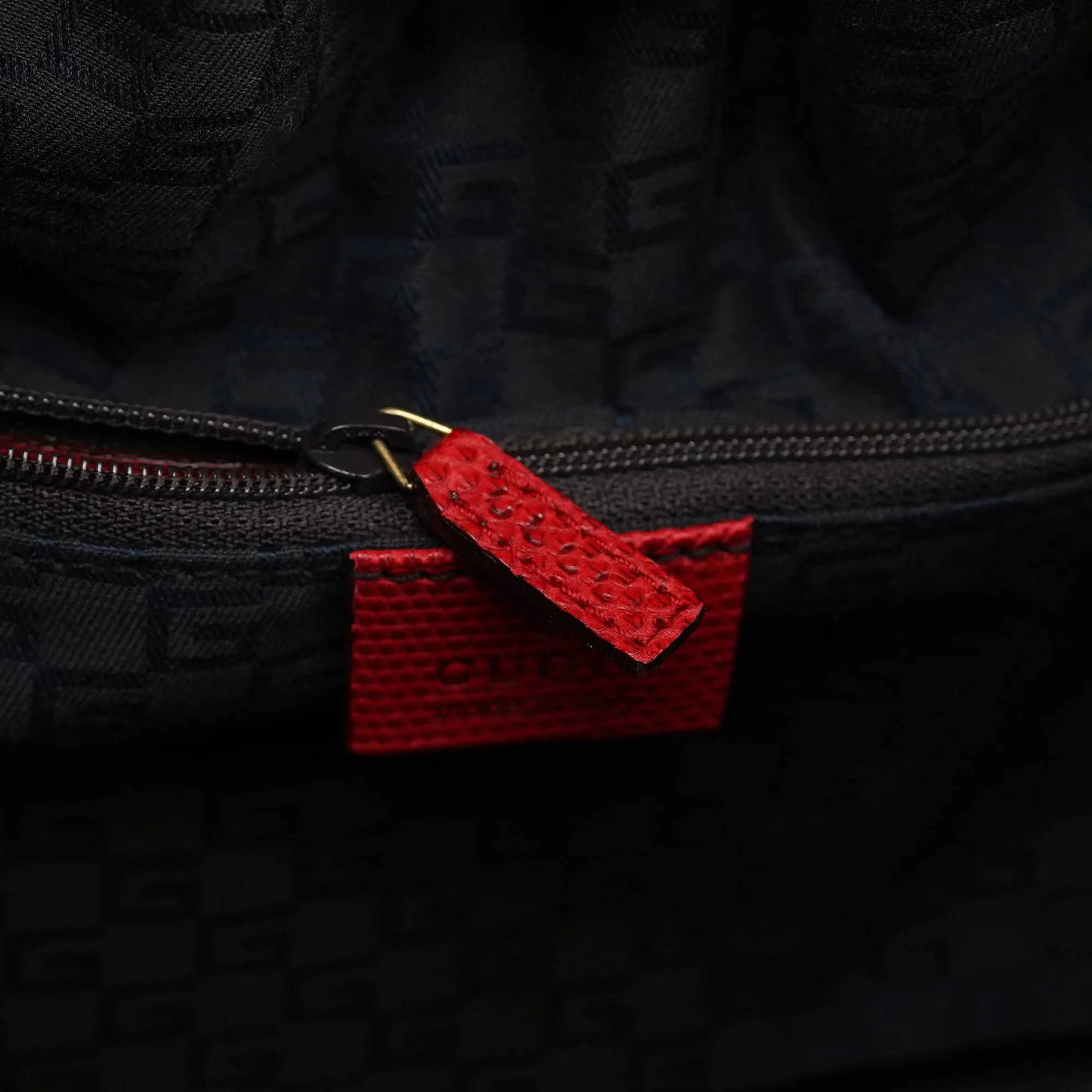 Red Lizard Embossed Dual Handle Bag