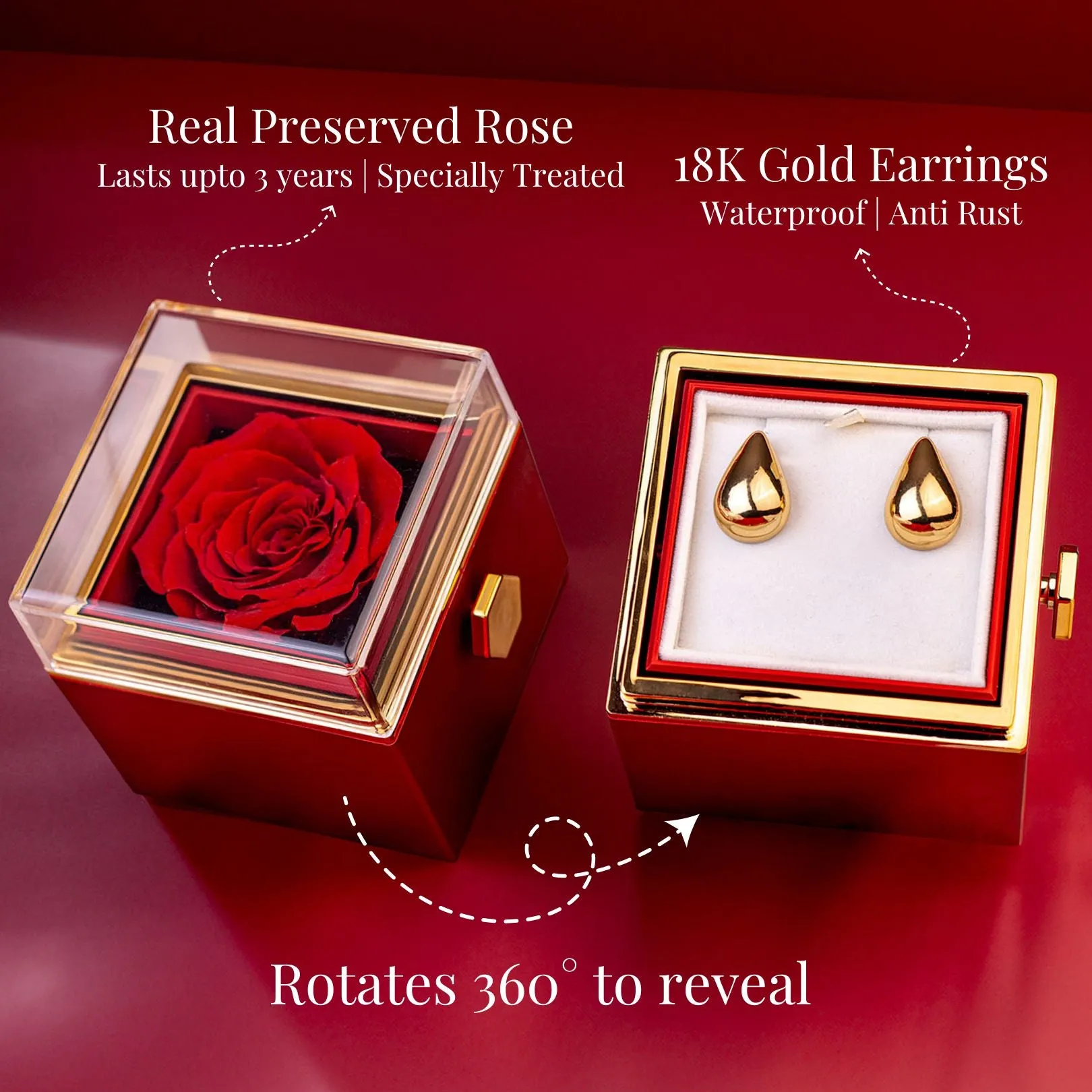 Rotating Preserved Rose Jewellery Box With Earrings