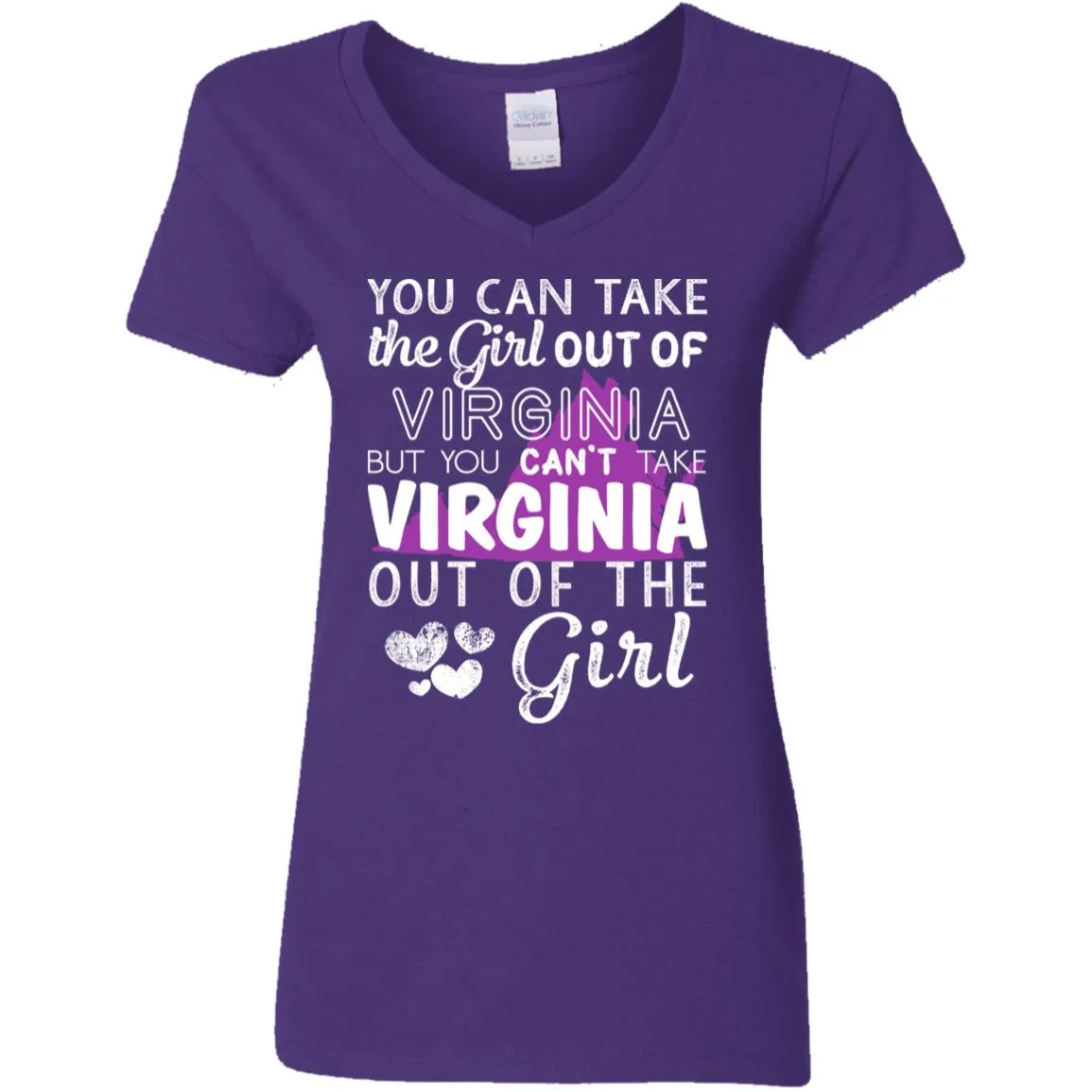 You Can't Take Virginia Out Of The Girl Hoodie