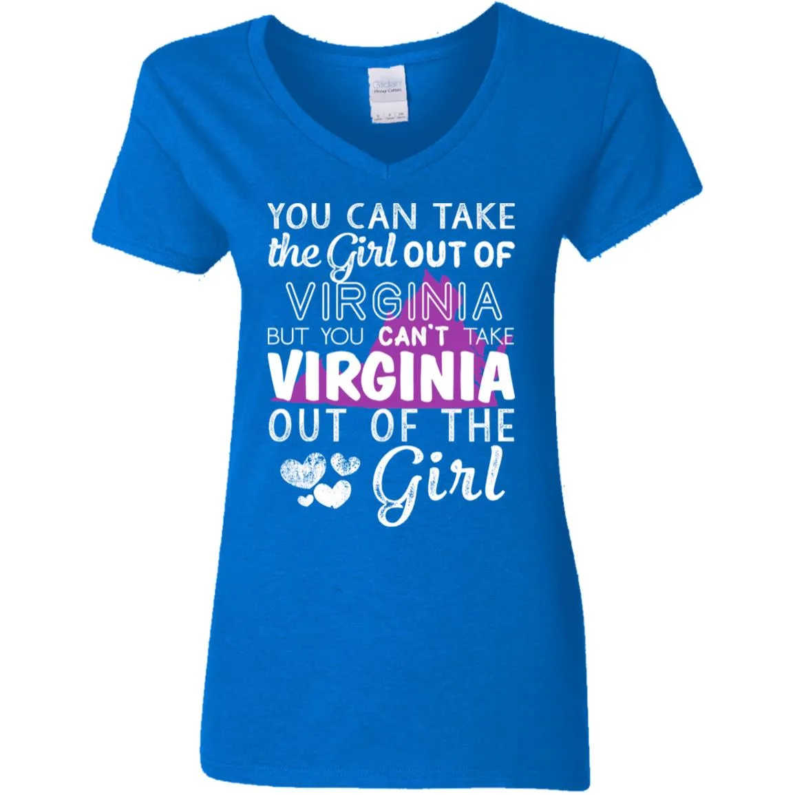You Can't Take Virginia Out Of The Girl Hoodie