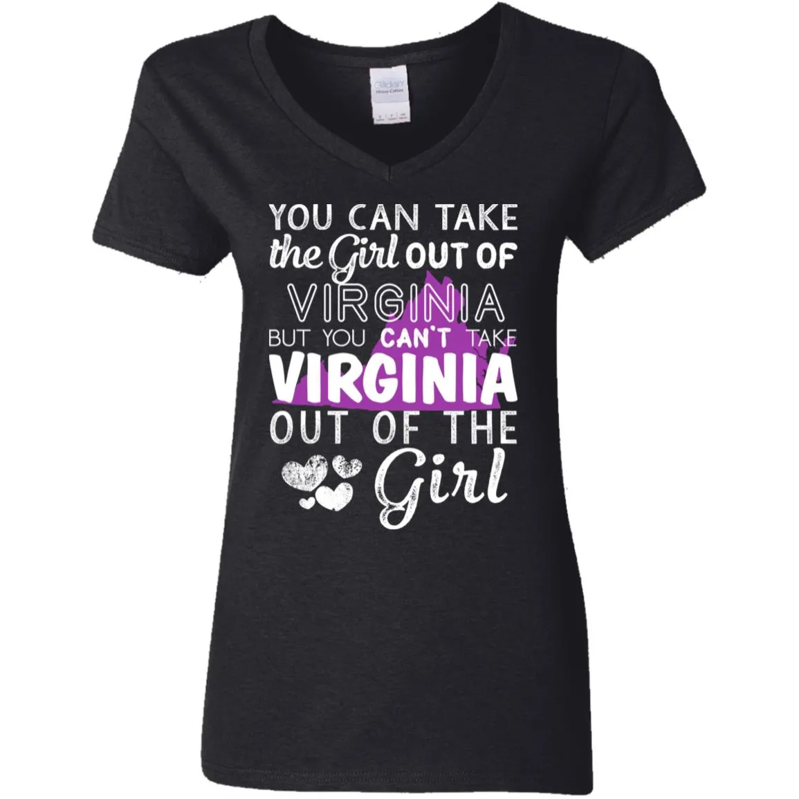 You Can't Take Virginia Out Of The Girl Hoodie