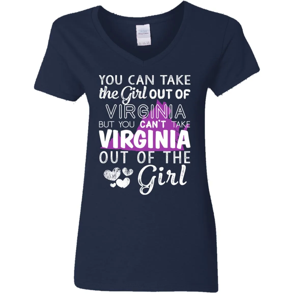 You Can't Take Virginia Out Of The Girl Hoodie